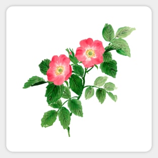 June 19th birthday flower Sticker